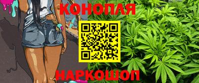 сатива Камышлов