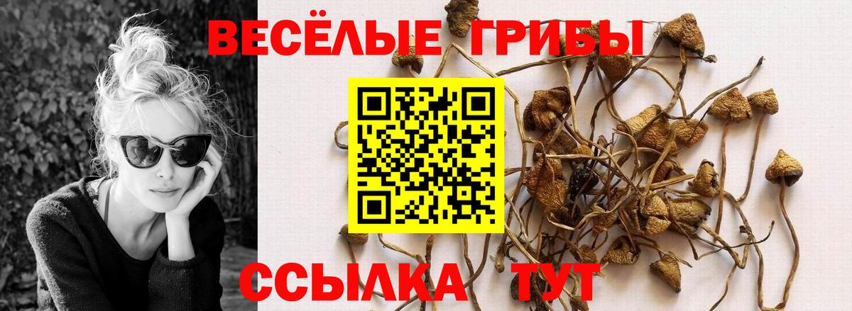 Галлюциногенные грибы ЛСД Бузулук